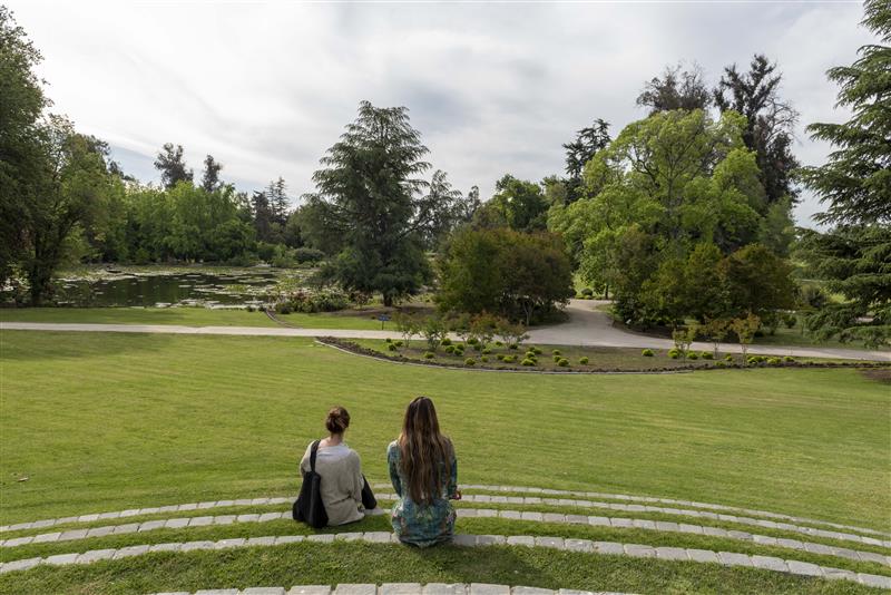 Maridaje al aire libre